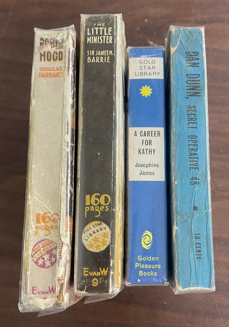 Vintage Big Little Book/Five Star Library Dan Dunn Robin Hood Little Minister